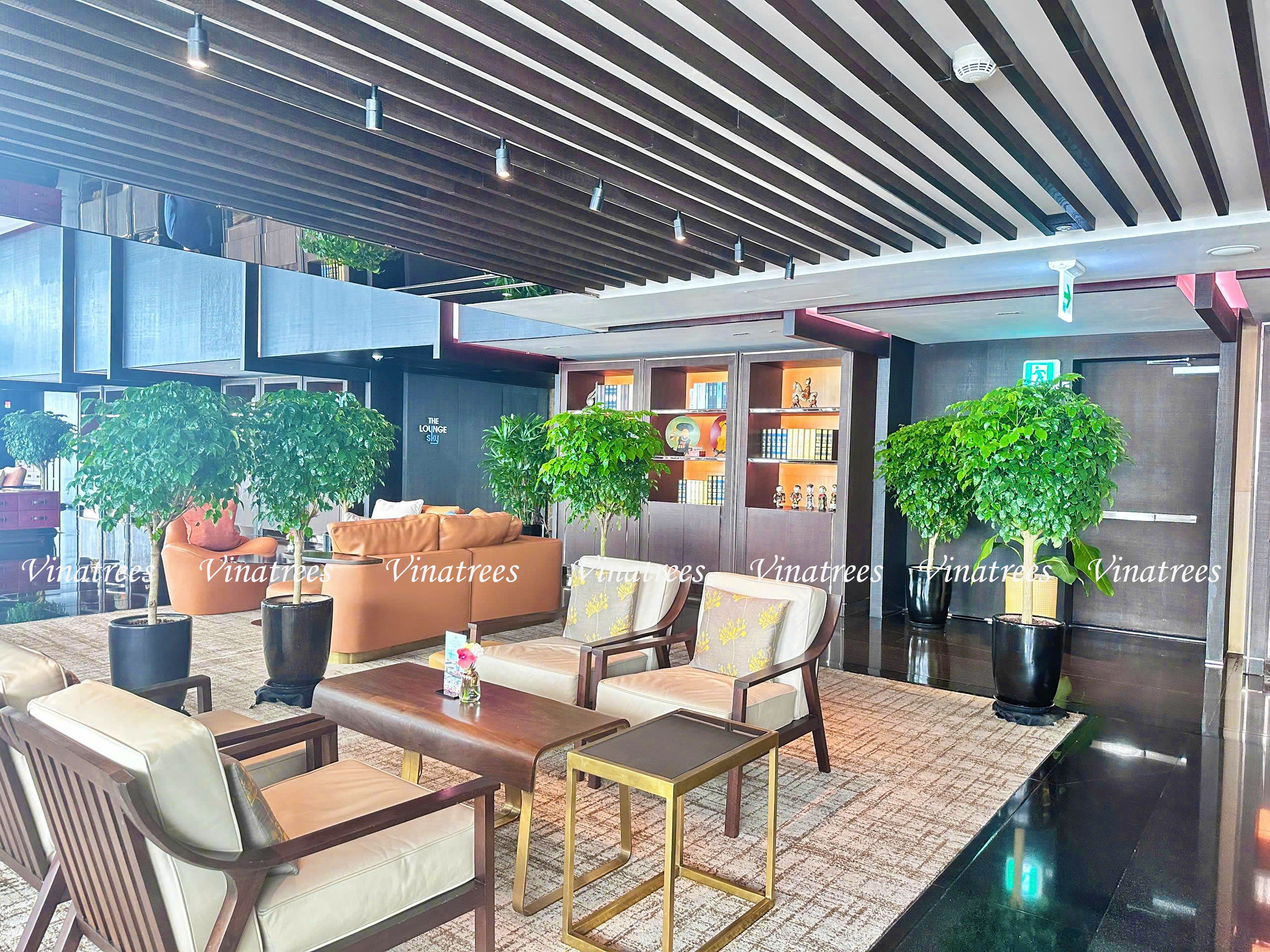 Vinatrees thiết kế cho thuê cây cảnh tại tòa nhà Lotte Center Hà Nội